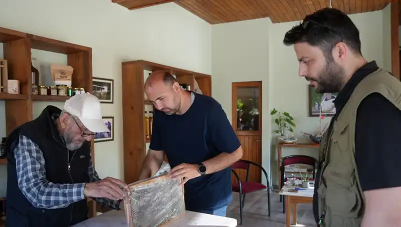 Şifa mı, Zehir mi? Doktor Tavsiyesi ile Tüketilmesi Gereken Gıda