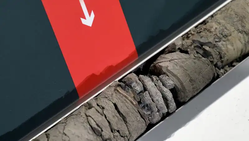 Müze Otoparkında Dinosaursuslar Tarih Öncesi Yolculuğa Çıkıyor!