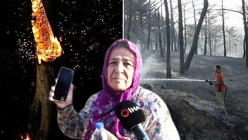 Çanakkale Orman Yangınları Kontrol Altına Alındı: Kayıplar ve Son Gelişmeler