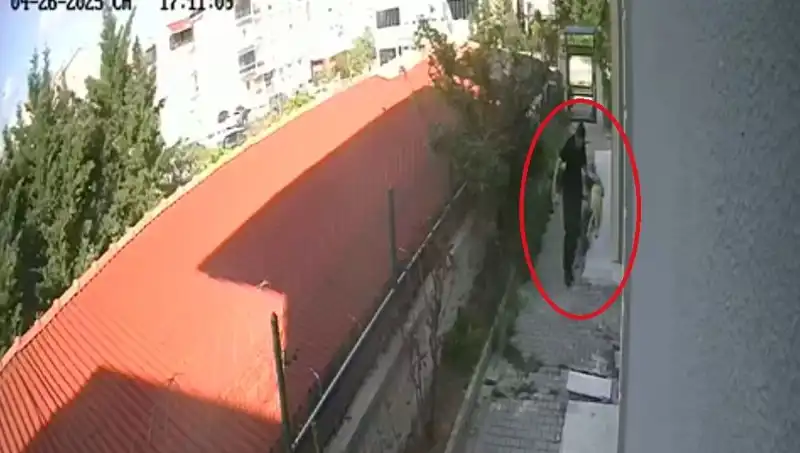 Veteriner Doktorun Şok Eden Eylemi: Sahiplendiği Köpekleri Öldürdü!