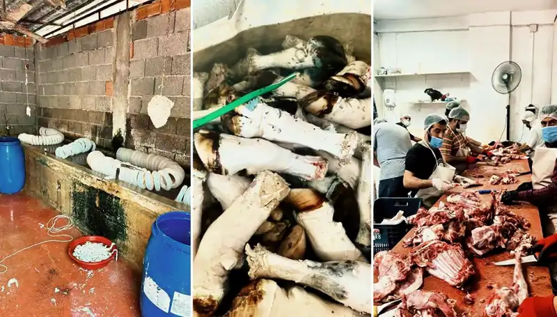 Adana’da Korkunç İhmal: Yüzlerce Kilo Paça Ele Geçirildi!