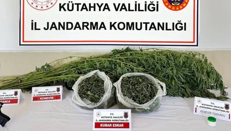 Kütahya'da Uyuşturucu Operasyonu: Kaçakçı Ağaçlar Arasında Yakalandı