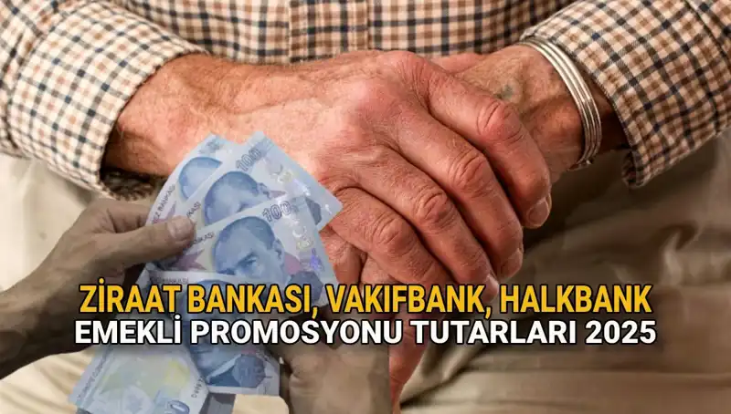 Emeklilere 2025'te Büyüleyici Promosyon Fırsatları: Kamu Bankaları Sıra Dışı Teklifler Sunuyor!