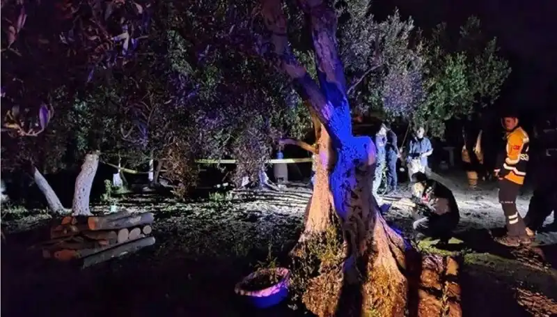 Çiftlikteki Baltalı Vahşet: Bir Şahıs Tutuklandı, Olayın Perde Arkası