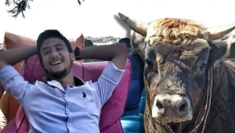 Aydın'da Güreş Boğası Saldırısı: Bir Hayat Kaybı ve Tartışmalar