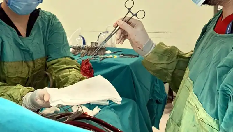 Kalp Kapağı Çürüyen Hastaya 7 Saatlik Ameliyat: Mucizevi Başarı