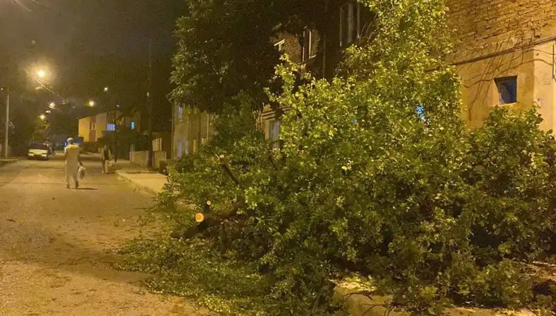 Karabük'te Fırtına Yaşamı Olumsuz Etkiledi, Zarar Büyük