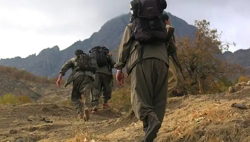 Türkiye'de Terörsüz Gelecek İçin Kritik 48 Saat: Öcalan'dan Yeni Mesaj