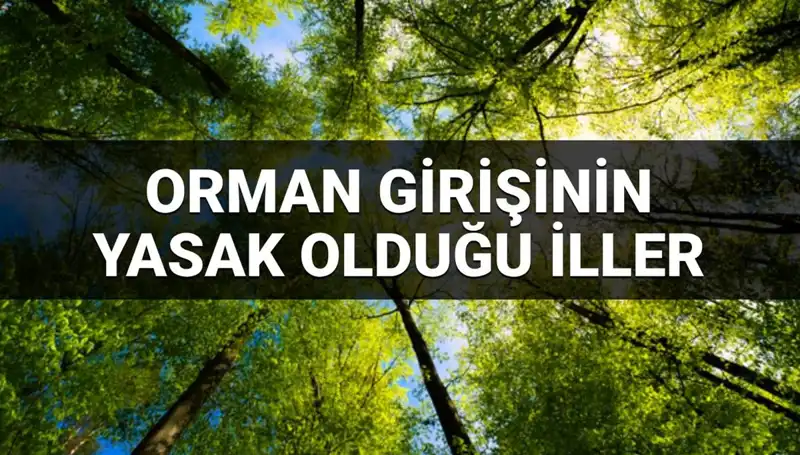 2025’te Ormana Girmek Yasaklanan İllerin Listesi Açıklandı!