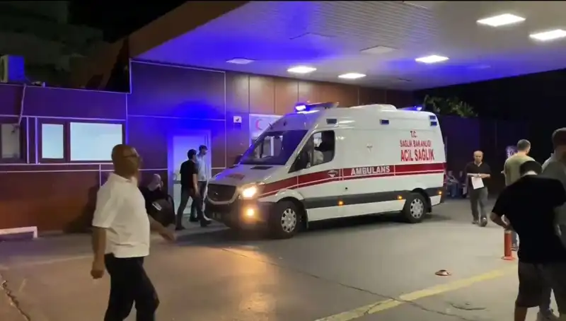 Dilan'ın Trajik Ölümü: Bayramda Yaşanan Korkunç Olay
