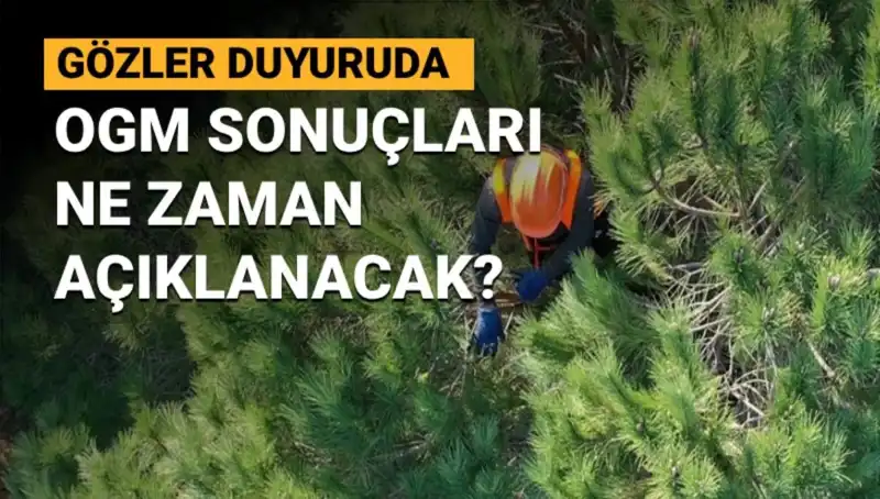 OGM 3 Bin 477 Sözleşmeli Personel Alımı Başvuru Sonuçları Hakkında Tüm Detaylar