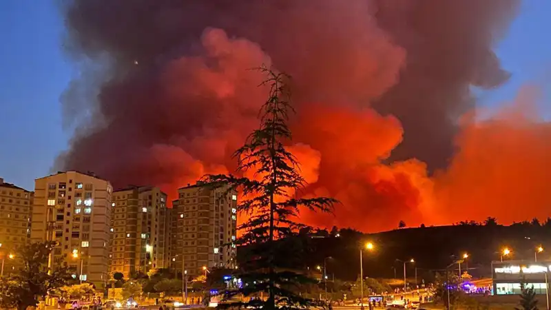 Bursa'da Yangınlar, Şehri Etkisi Altına Aldı! Neler Oluyor?