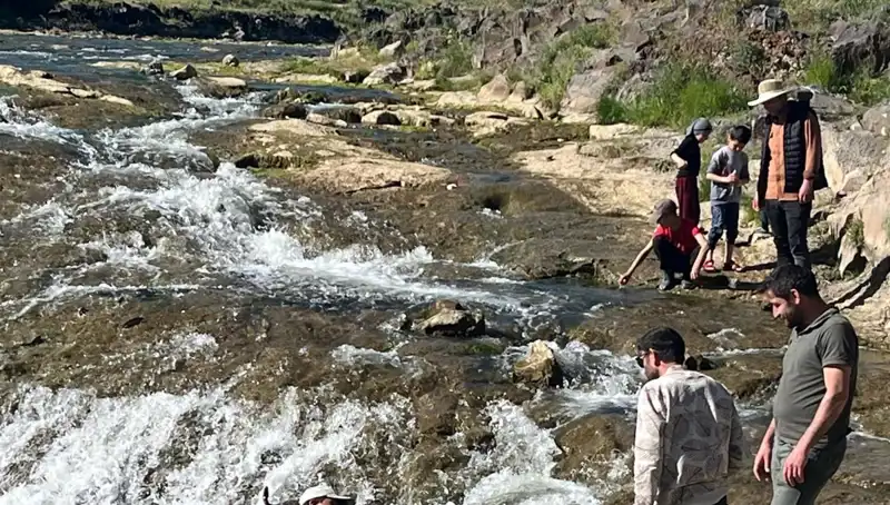 İnci Kefali Göçü: Doğanın Mucizeleriyle Dolu Eşsiz Bir Deneyim
