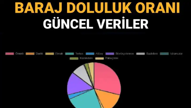İstanbul Barajlarındaki Doluluk Oranları: Güncel Veriler ve Su Tasarrufu İpuçları