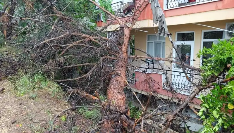 Şiddetli Yağmur Sonrası İnşaat Alanında Heyelan: Bina Devrildi!