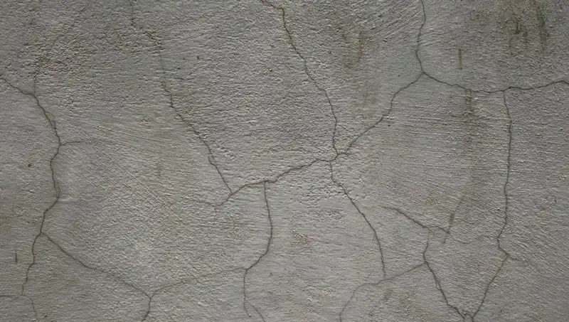 Canlı Beton: Çatlakları Kendi Kendine Onarıp Geleceği Şekillendiriyor