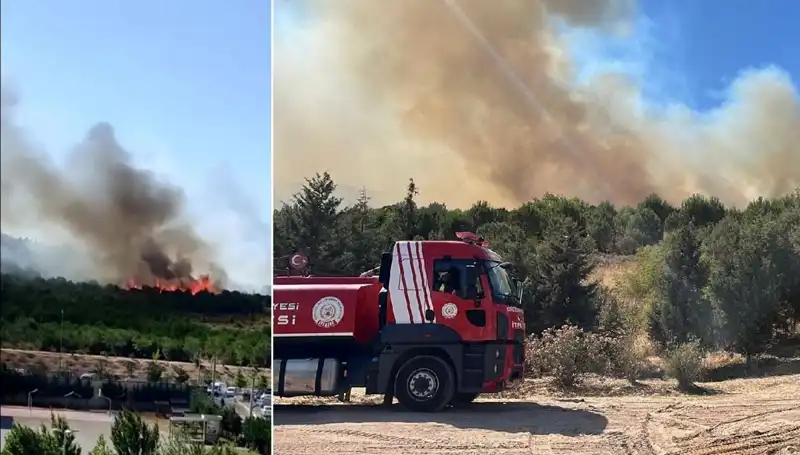 Gebze'de Orman Yangını: Ekosistemi Tehdit Eden Gözüyaşlı Manzara