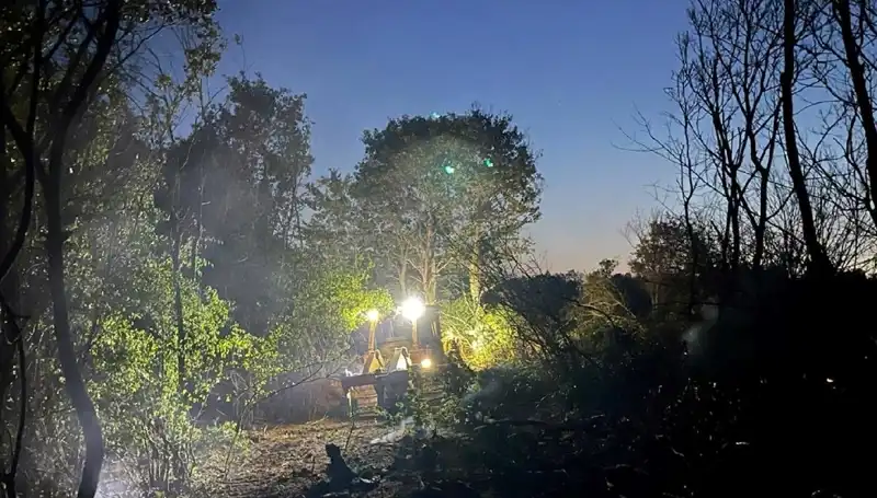 Edirne'de Yaşanan Orman Yangını Kontrol Altına Alındı, Zarar Büyümeden Önlenildi