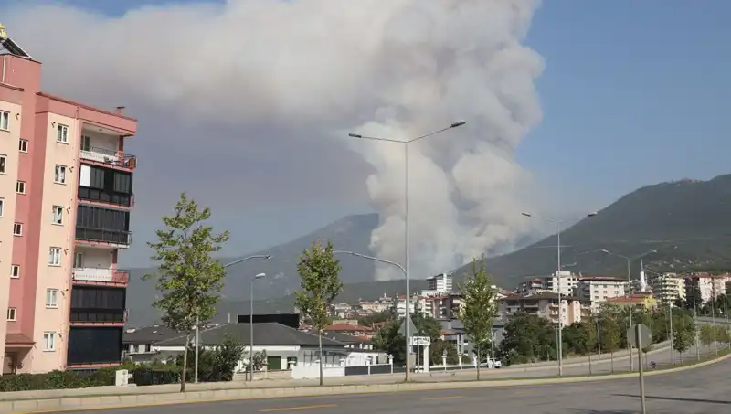 Denizli’de Orman Yangını: Şüpheli Gözaltına Alındı, Yangının Ardındaki Sır Ne?