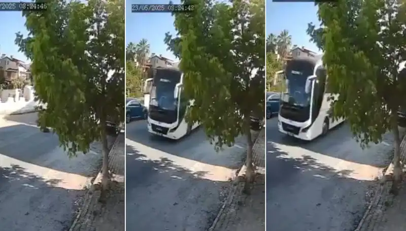 Yolda Yatan Köpeği Ezip Geçen Şoför, Hayvanseverleri İsyan Ettirdi!
