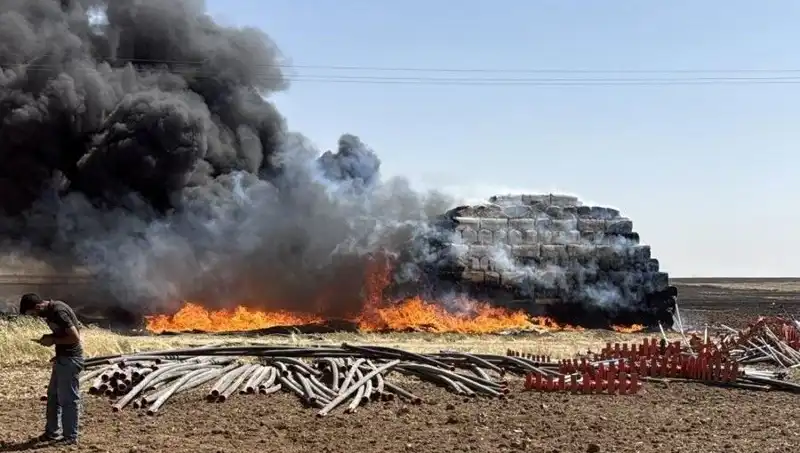 Mardin'de Korkutan Anız Yangını: Doğa ve Hayvanlar Tehlikede!